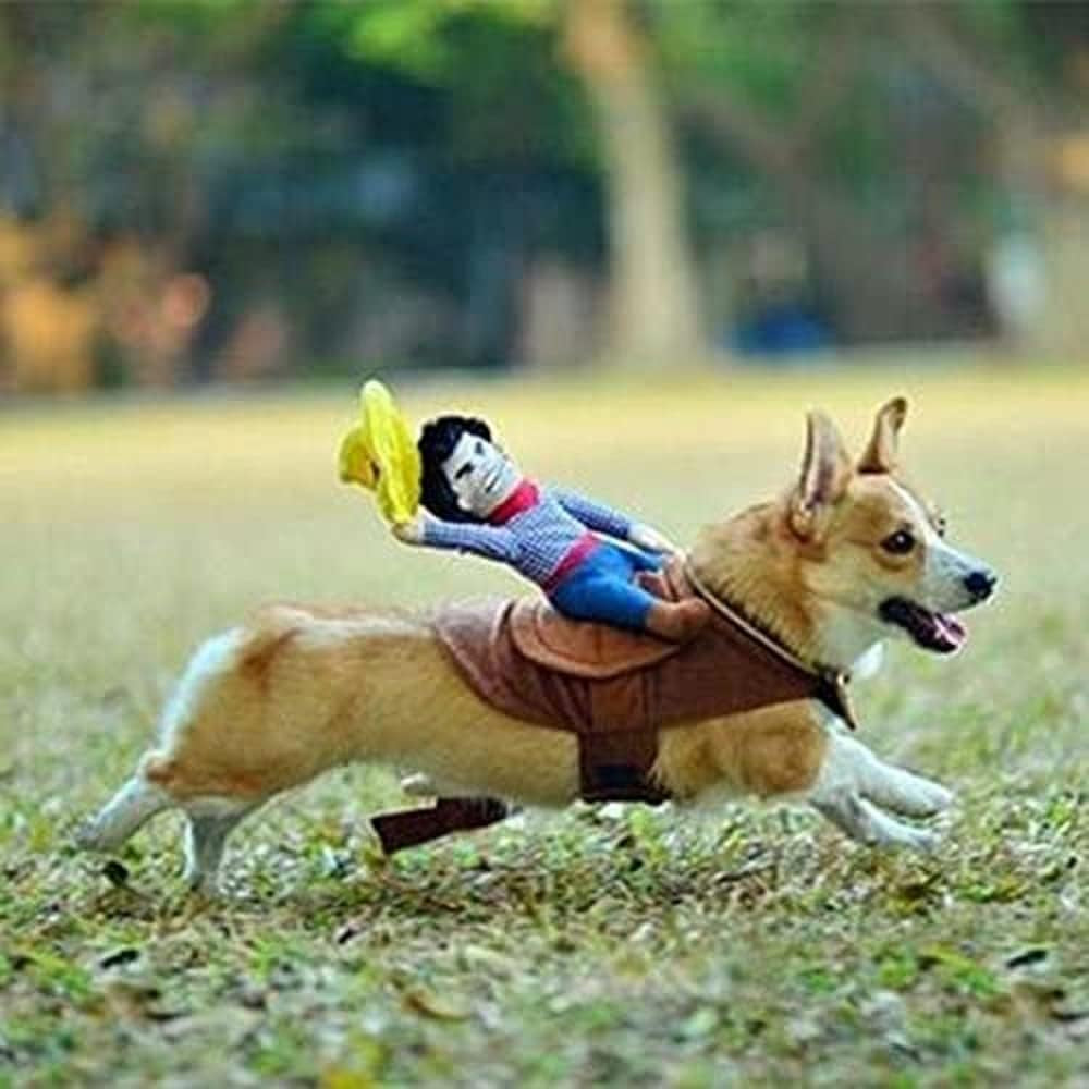 Halloween Cowboy Dog Cat Costume Clothes Novelty Funny Pets Party Cosplay Apparel Dog Riders Clothing (X-Large) | Cat Apparel,For Small Medium Dogs,Novelty,Funny,Pet Clothes,Party Dress Up,Costumes Suit,Vest