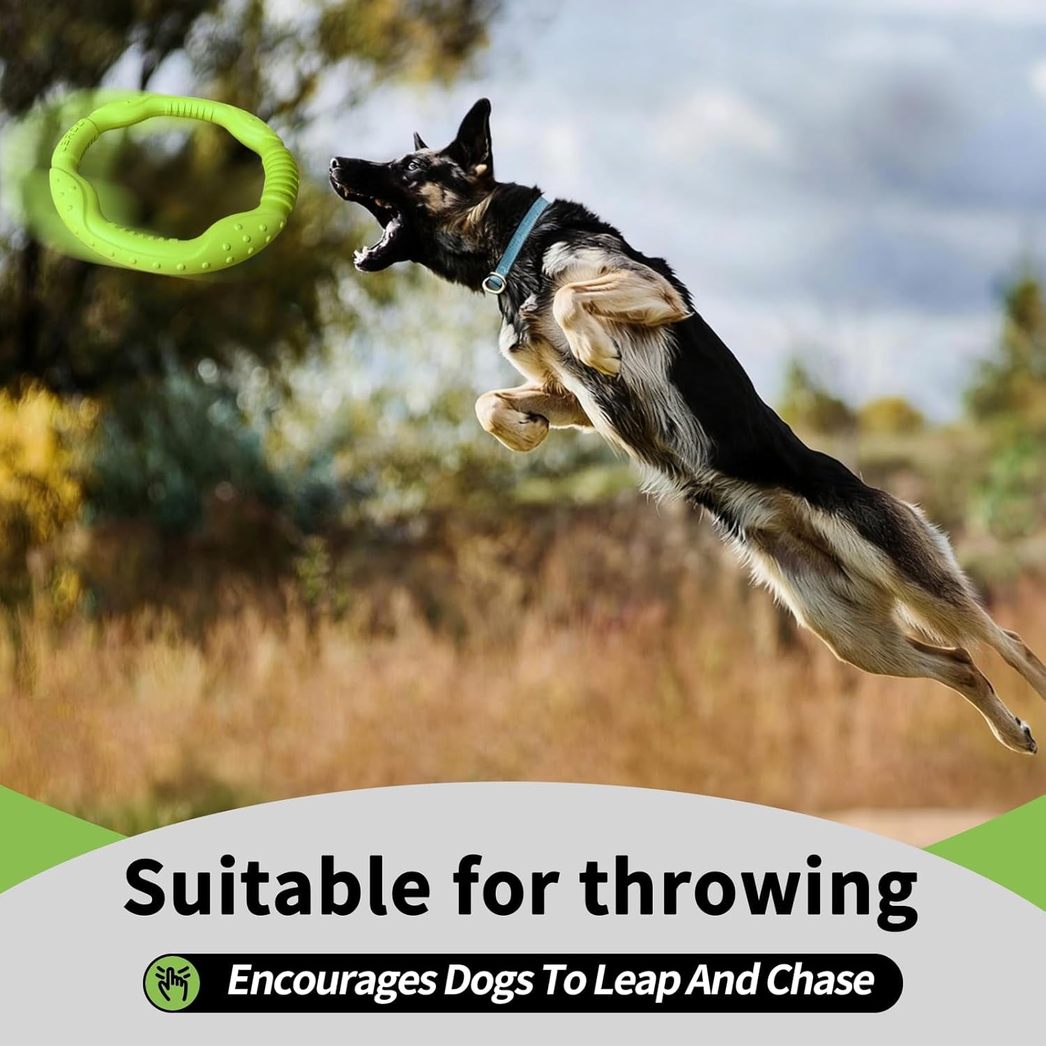 Dog Ring Toy, Durable Soft Flying Disc for Throwing Catching Grabbing, Water Floating Dog Training Fetch Ring for Medium Large Breeds, Outdoor (Green/11.8Inch)
