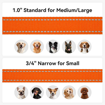 Reflective Dog Leash for Medium & Large Dogs, 5 FT X 1", Orange | Heavy Duty Nylon Webbing, Padded Handle for Comfort, Visible at Night, for Walking & Training